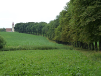 Kastanienallee